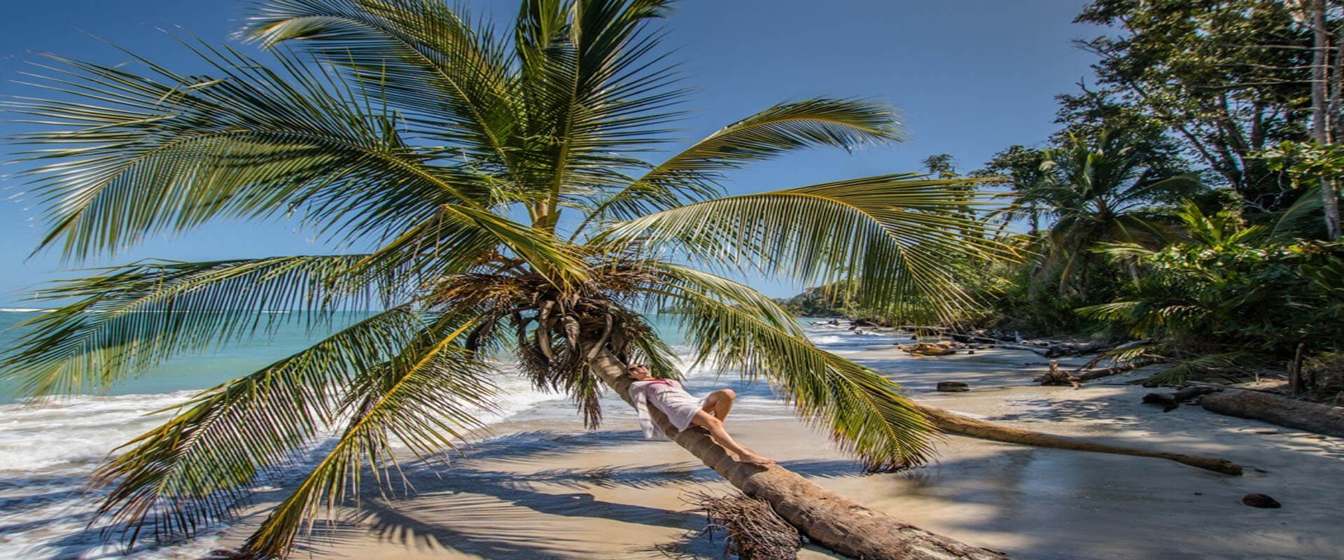 Picture of a beautiful Costa Rica beach.