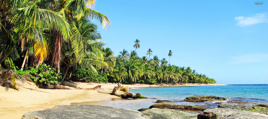 Picture of a beautiful beach near San Jose, Costa Rica.